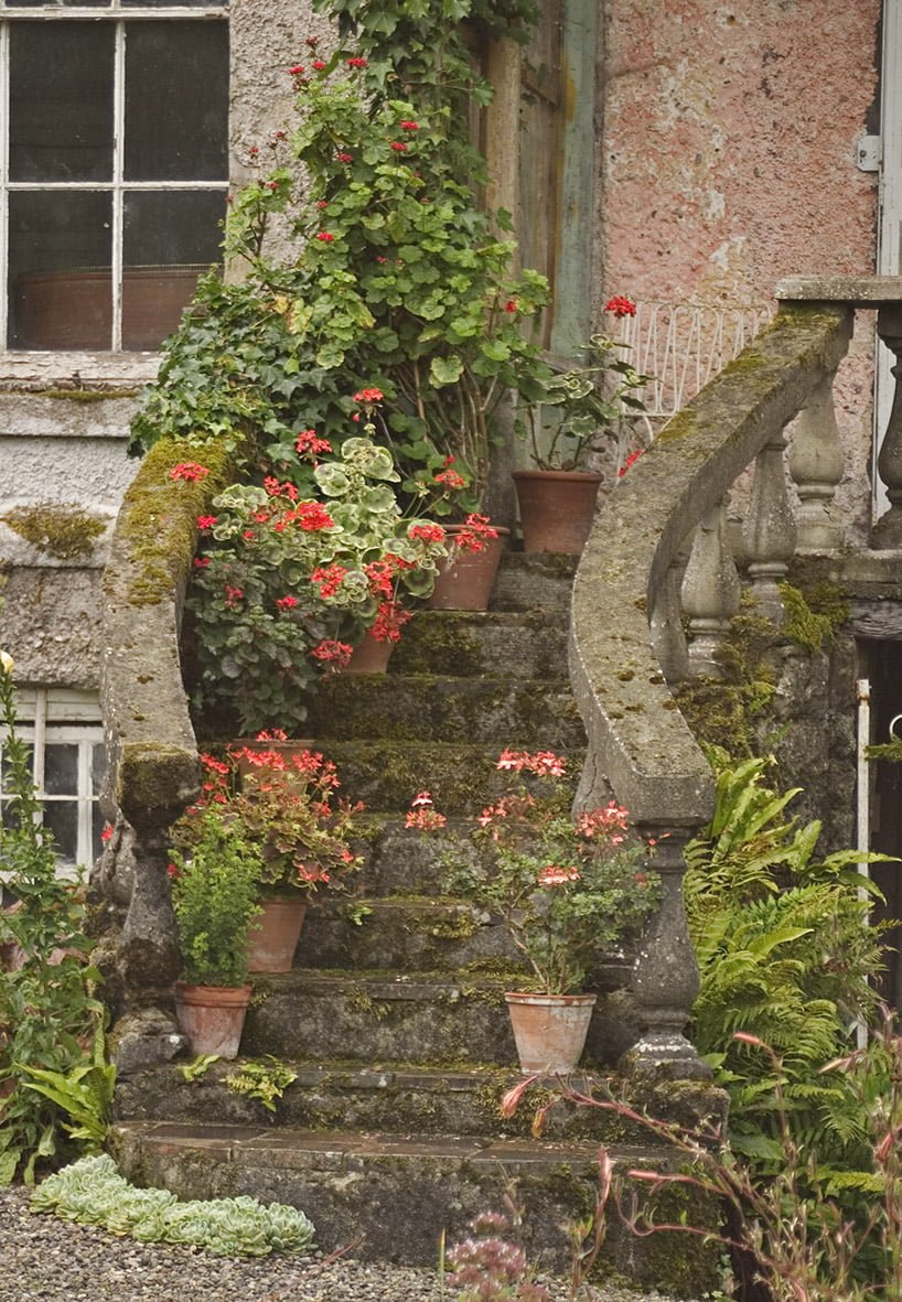 altamont gardens - steps