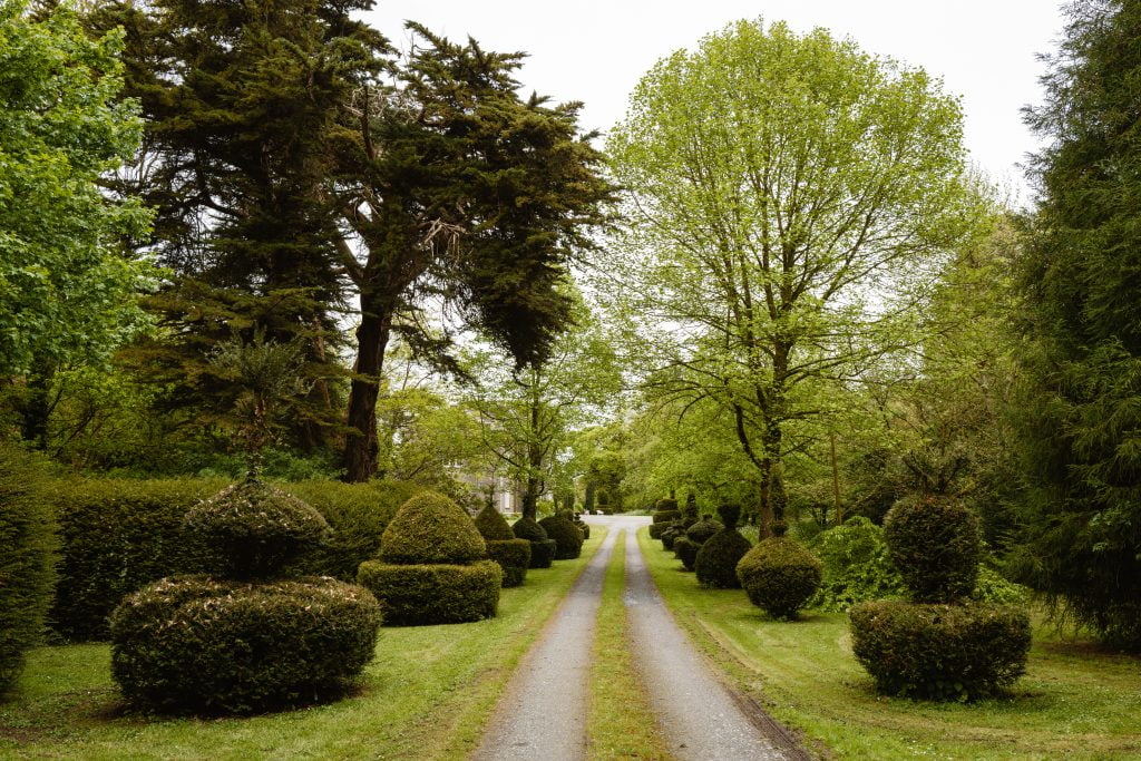 Entrance Avenue to Shankill Castle and Gardens