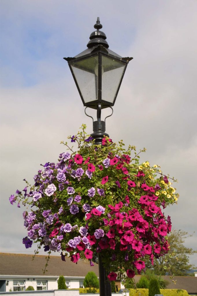 Millennium Garden Leighlinbridge