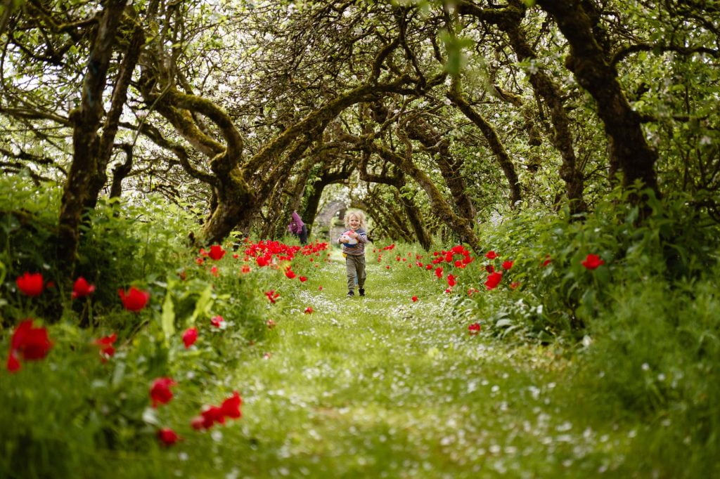 Gardens of Shankill Castle in May